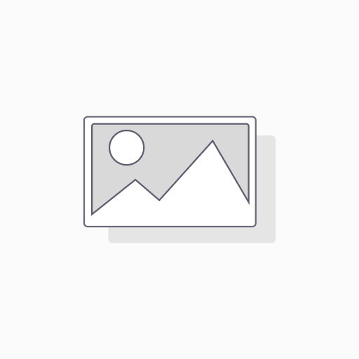 Settle Invoice